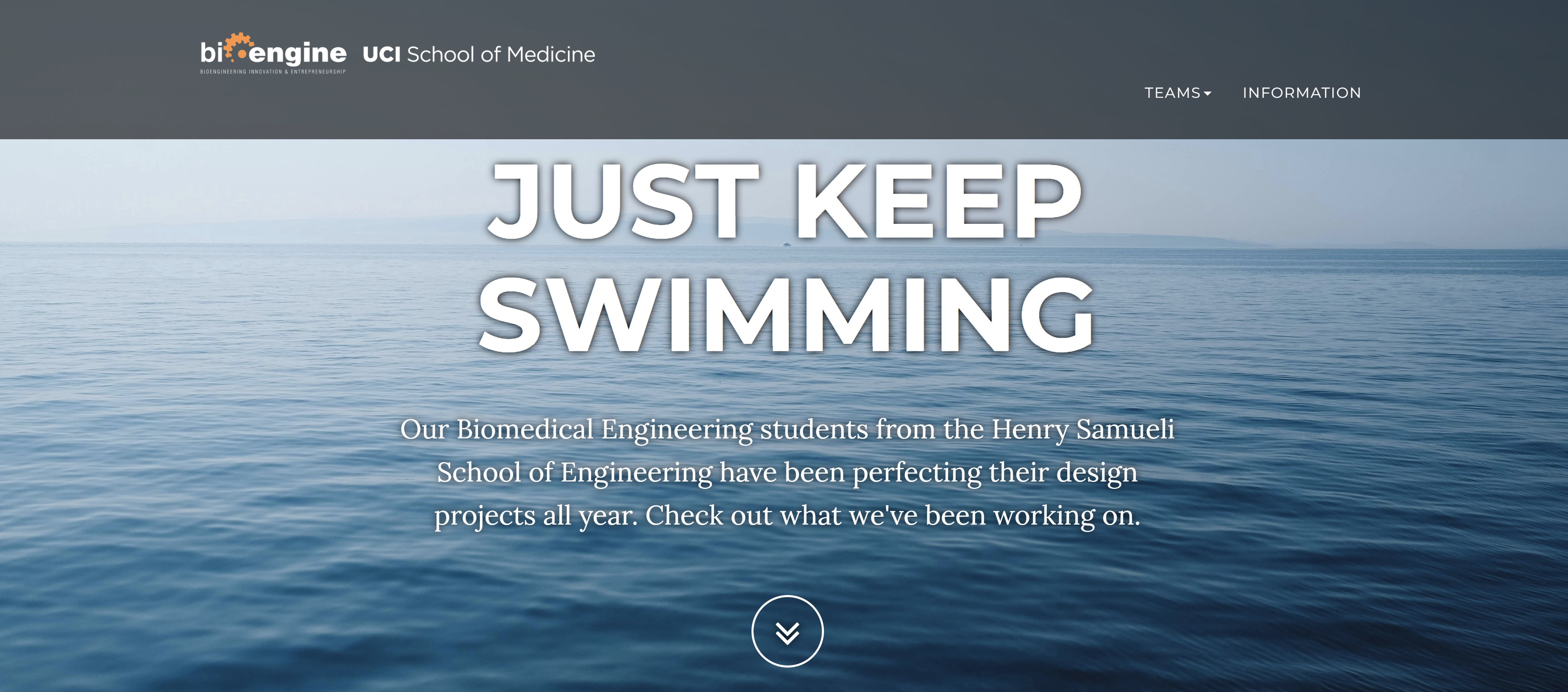 2025 design projects